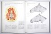POPESKO Peter - Atlas anatomii topograficznej zwierząt domowych. T. 1-3