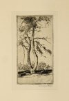 ALBUM sporządzony w 1929 w uznaniu dla Mariana Dąbrowskiego, twórcy koncernu IKC, przez członków krakowskiego oddziału Związku Polskich Artystów Plastyków, zawierający 9 oryginalnych prac na papierze.