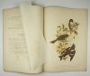 [BROJNOWSKI Józef Gracjan] BROINOWSKI G[racjus] J. - Birds of Australia. Vol. 5, nr 4