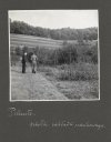 [OGRODNICTWO w Pillnitz - fotografie sytuacyjne i widokowe].