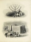 FLAVIUS Josephus - The Complete Works of the learned and authentic jewish Historian [...] London & New York [ca 1870]