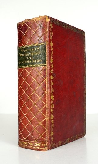 SCHWEIGGER August Friedrich - Handbuch der Naturgeschichte der skelettlosen ungegliederten Thiere