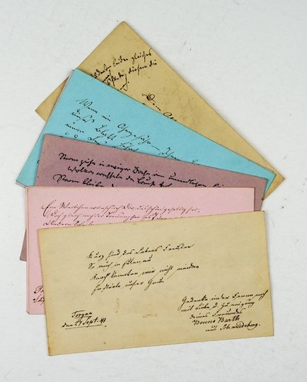 [KASETA ozdobna]. Imitująca półskórkowy album ozdobna kaseta kryjąca w sobie sztambuchowe karty z l. 30.-80. XIX w. ze Śląska.