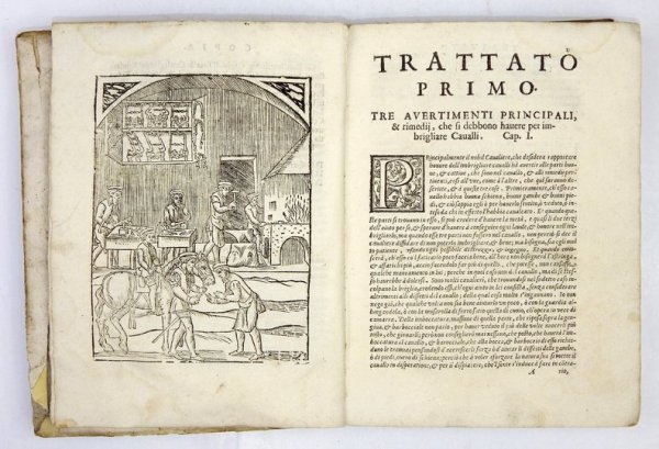 [Hipologia, konie] FIASCHI Cesare - Trattato dell'imbrigliare, Atteggiare, &amp; Ferrare Caualli [...], diviso in tre libri, Ne'quali sono tutte le Figure a proposito delle Briglie, de gli Atteggiamenti, e de'Ferri. Et in questa Quinta impressione unito i