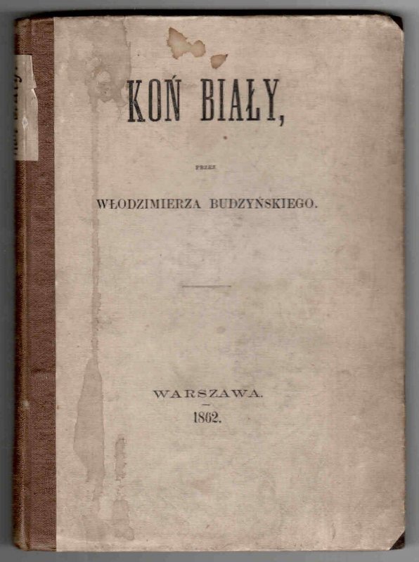 Budzyński Włodzimierz - Koń biały.