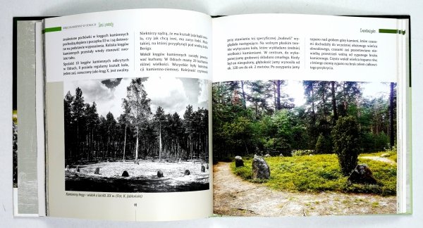 Grabarczyk Tadeusz Lipnicki Ludwik - Kręgi kamienne w Odrach. Goci i porosty