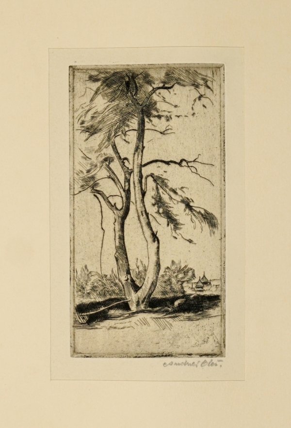 ALBUM sporządzony w 1929 w uznaniu dla Mariana Dąbrowskiego, twórcy koncernu IKC, przez członków krakowskiego oddziału Związku Polskich Artystów Plastyków, zawierający 9 oryginalnych prac na papierze.