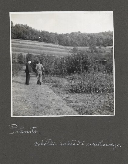 [OGRODNICTWO w Pillnitz - fotografie sytuacyjne i widokowe].