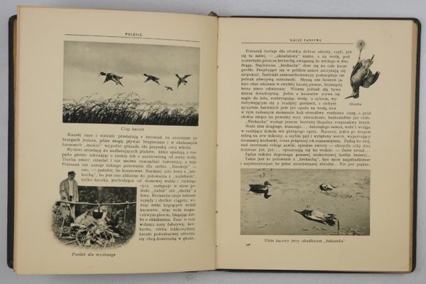 OSSENDOWSKI F[erdynand] Antoni - Polesie.