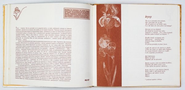 Kern Ludwik Jerzy - Portrety kwiatów. Wiersze. Rysunki Zdana Jasińska  [dedykacja autora]