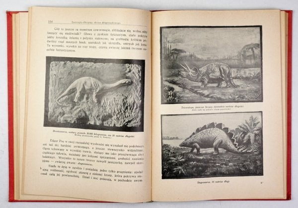 MOREUX Teofil - Tajemnica bytu. [Cz.] 1-4. Rysunki i fotografje autora. Przekład autoryzowany. Tłum. K. S. [krypt. Konstanty Sedlaczek].