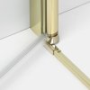 NEW TRENDY Drzwi wnękowe NEW SOLEO LIGHT GOLD PLUS 1D U 110x195 czyste 6mm Active Shield 2.0 D-0957A