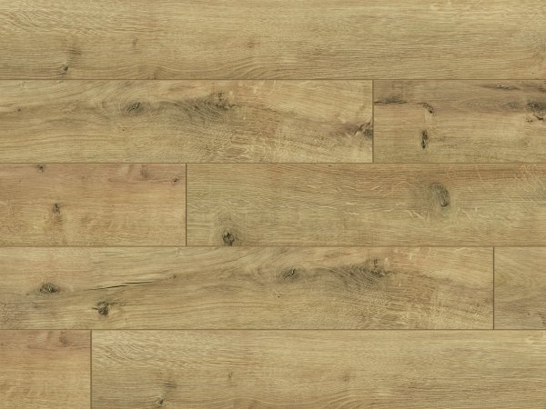CLASSEN - TREND 4 V / Dąb Wostok 8mm AC5 V4  52606