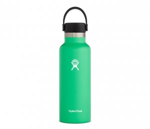 Butelka termiczna Hydro Flask 532 ml Standard Mouth Flex Cap (spearmint - miętowy) vsco