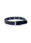 Fetish B - Series Collar with studs 2 cm