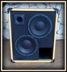 Obudowa kolumny basowej 2x10
