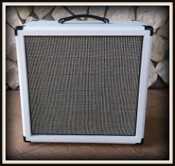 Kolumna gitarowa 1x12  ELEGANCE BLACK&WHITE V12