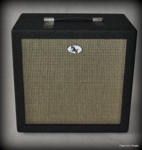 Capricorn Amps -  Kolumna 1x12 Seventy 80