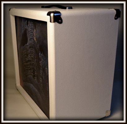 Obudowa Kolumny 1x12&quot;  GRAHPICS WHITE Sklejka TOPOLA WŁOSKA 