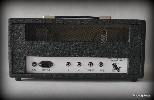 Capricorn Amps - Chaste 18 - 18 W-Clean /Crunch