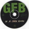 Gary Floyd Band - In A Dark Room (CD)