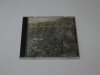 Jerry Harrison - Casual Gods (CD)
