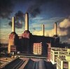 Pink Floyd - Animals (LP)