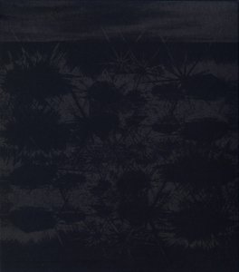 Moth Electret - Tocasen (CD)