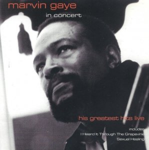 Marvin Gaye - In Concert (His Greatest Hits Live) (CD)