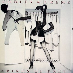 Godley & Creme - Birds Of Prey (LP)