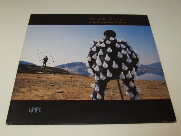 Pink Floyd - Delicate Sound Of Thunder (2LP)