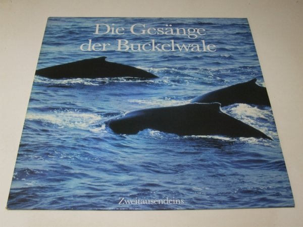 Humpback Whale - Die Gesänge Der Buckelwale (LP)