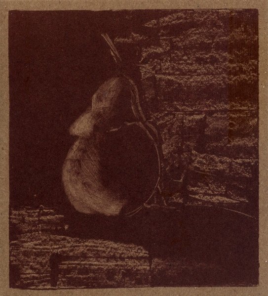 The Infant Cycle - The Sand Rays (CD)