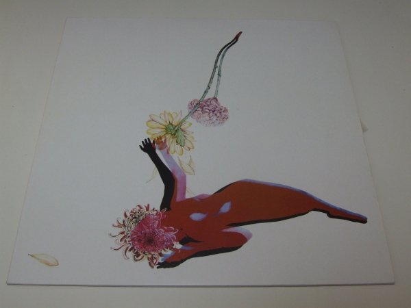 Future Islands - The Far Field (LP)