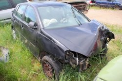 Drzwi Przód Prawe VW Polo 9N 2008 1.2i Hatchback 5-drzwi (gołe drzwi bez osprzętu)