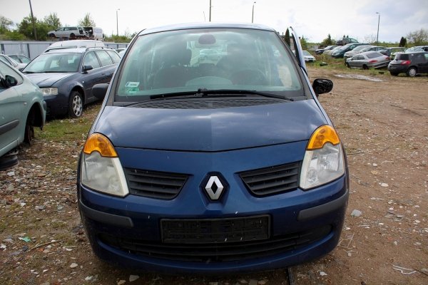 Drzwi tył lewe Renault Modus 2006 Hatchback 5-drzwi (kod lakieru: TED44)
