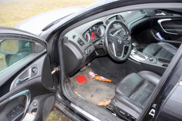 Szyberdach Opel Insignia A 2009 2.0CDTI A20DTH Kombi