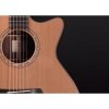 Furch Yellow Deluxe Gc-CR LR Baggs Anthem
