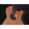 Furch Yellow Deluxe Gc-CR LR Baggs Anthem