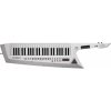 Roland AX-EDGE White Keytar