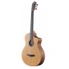 Furch GN2 CW + L.R. Baggs