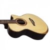 Furch Red Deluxe Gc-SR L.R. Baggs Anthem