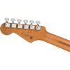 Fender Limited Edition Player Stratocaster Roasted Maple Fingerboard Sea Foam Green