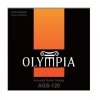 Olympia AGS-120 struny akustyczne do 12str 10-47