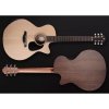Furch Blue Deluxe Gc-SW LR Baggs SPE