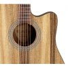 Randon RGI-PW1CE gitara elektro-akustyczna