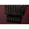 PRS DW CE 24 “Floyd” Limited Edition