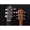 Furch Green Dc-SR LR Baggs Stage Pro Element