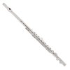 V-TONE VFL 16 flet poprzeczny metalowy c-key etui