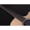 Furch Green Dc-SR LR Baggs Stage Pro Element